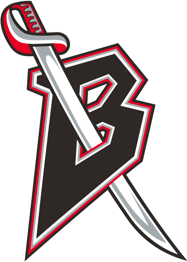 Buffalo Sabres 1996-1999 Alternate Logo t shirts iron on transfers v2